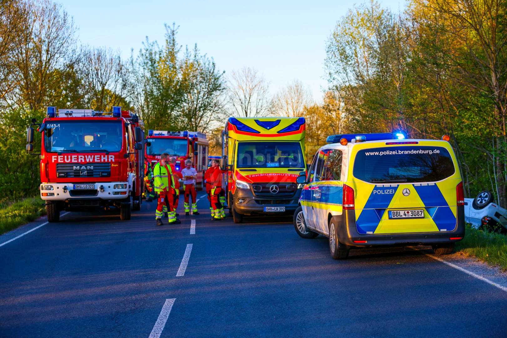 Bild