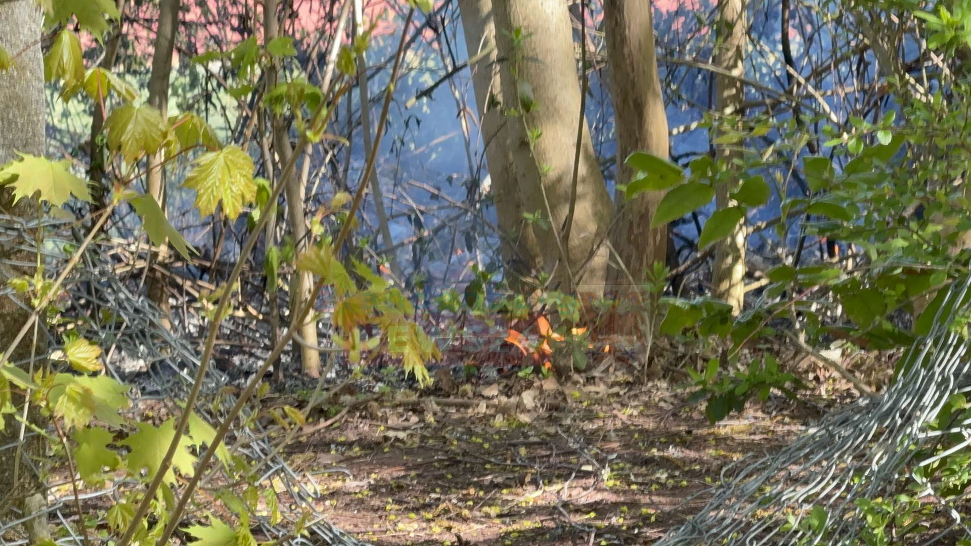 Verdacht auf Brandstiftung - Flächenbrand an der Fontane-Schule gelöscht – Autofahrer stören Einsatz