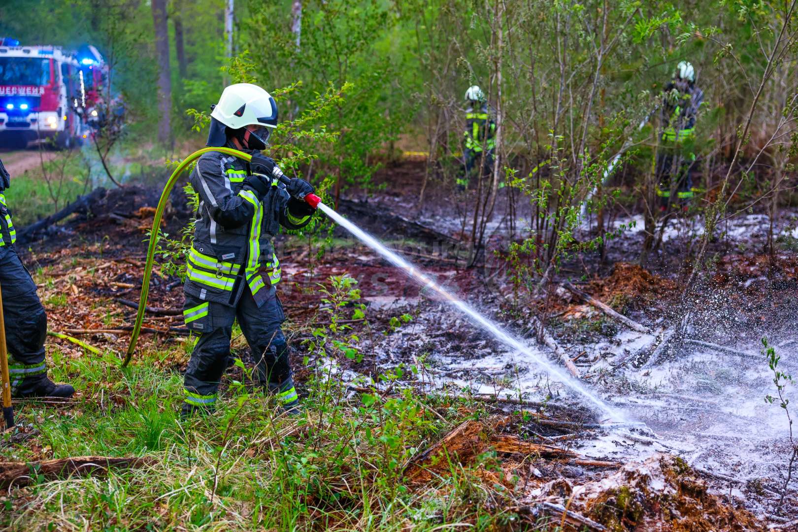Waldbrand in Hennigsdorf schnell unter Kontrolle gebracht – bereits mehrere Brände in dem Bereich