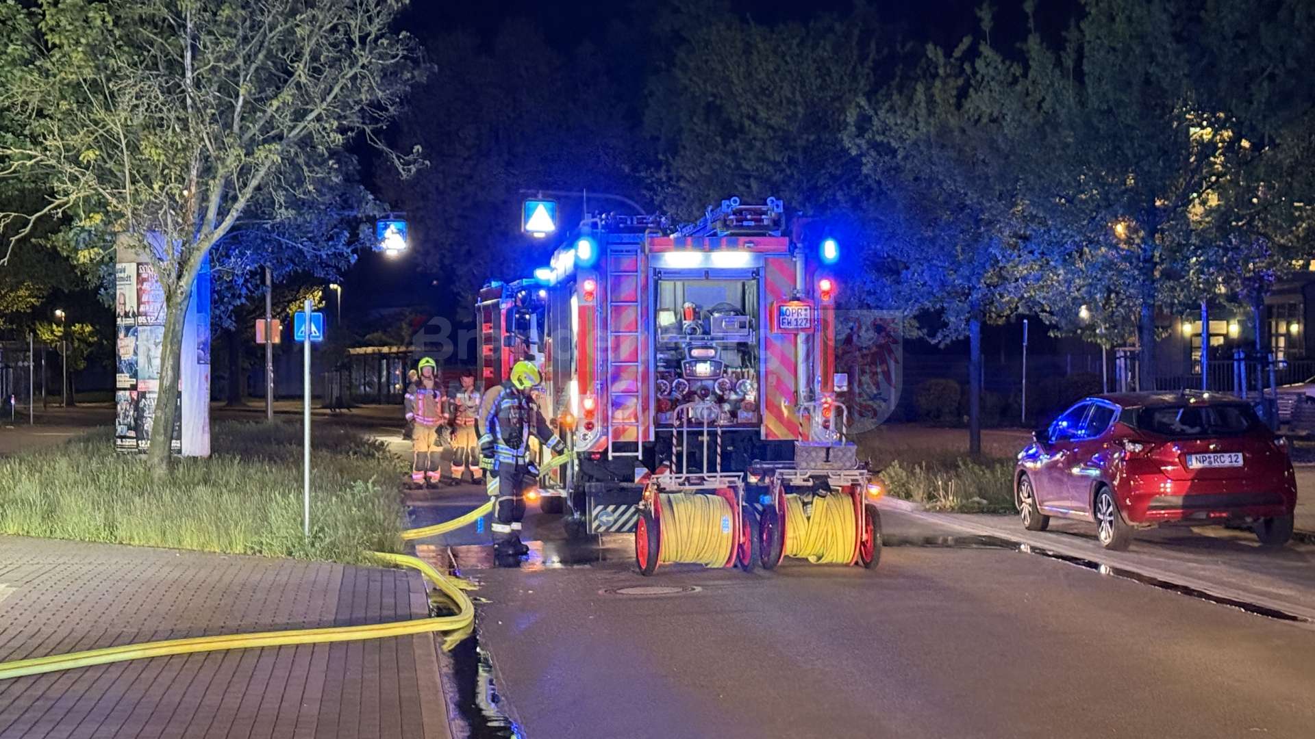 Küchenbrand in Neuruppin - Umgekippte Plastikbretter lösen Feuerwehreinsatz aus – Katze wohlbehalten gerettet