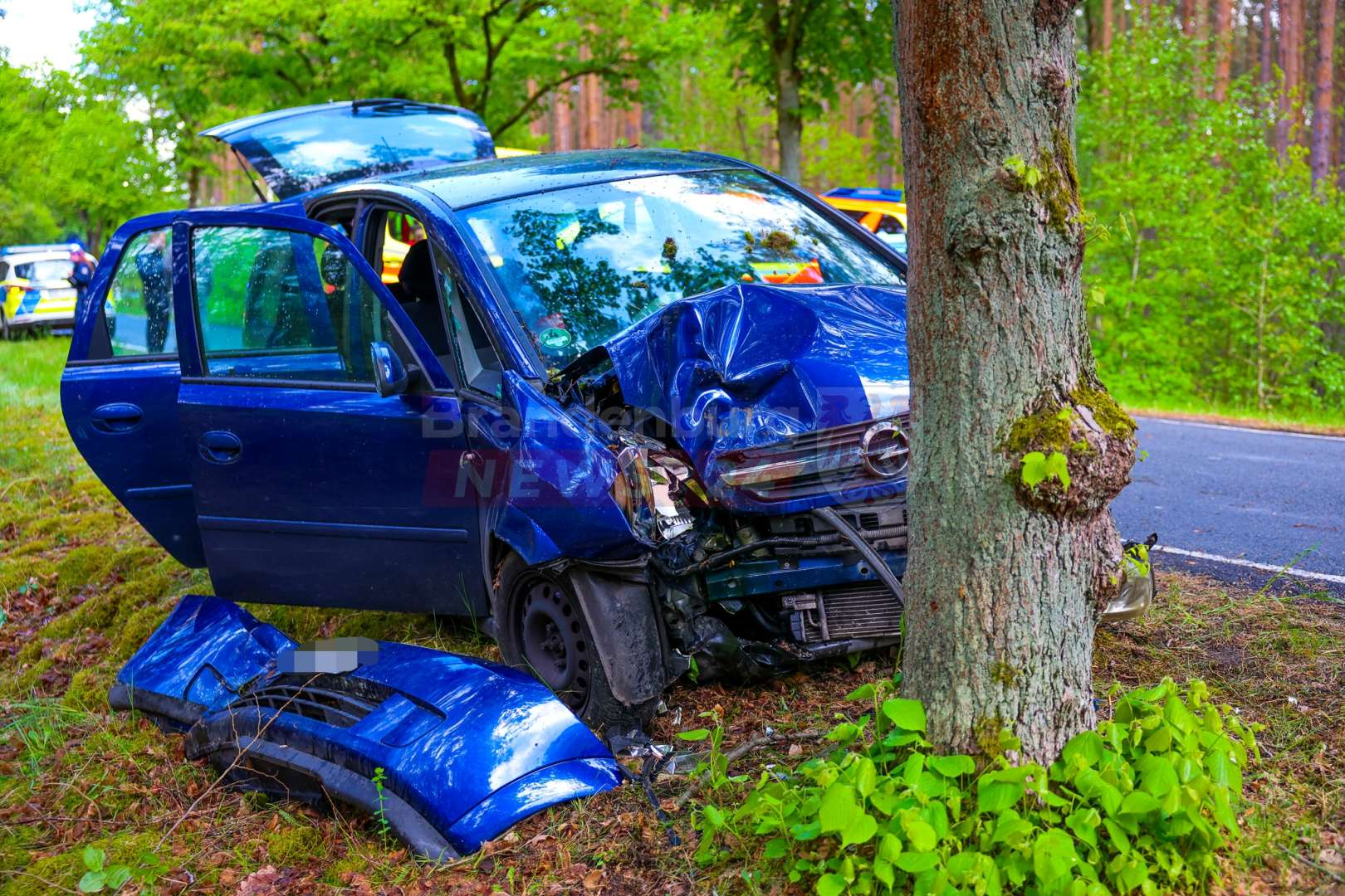 Alkoholisierter Fahrer kracht gegen Straßenbaum 2,15 Promille