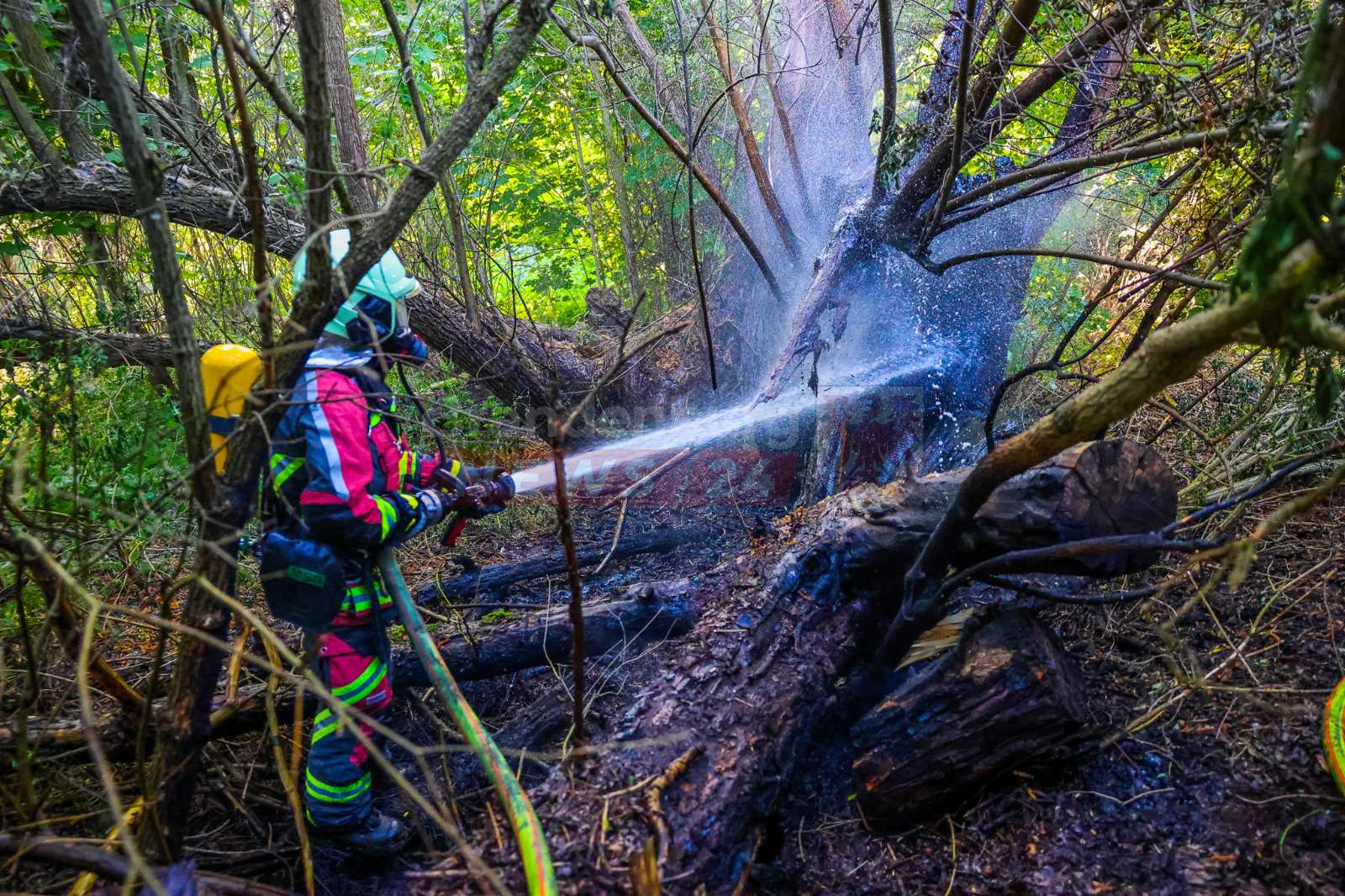 Schnelles Eingreifen verhindert größere Ausbreitung Vegetationsbrand am Sportplatz in Vehlefanz – Polizei ermittelt wegen Brandstiftung