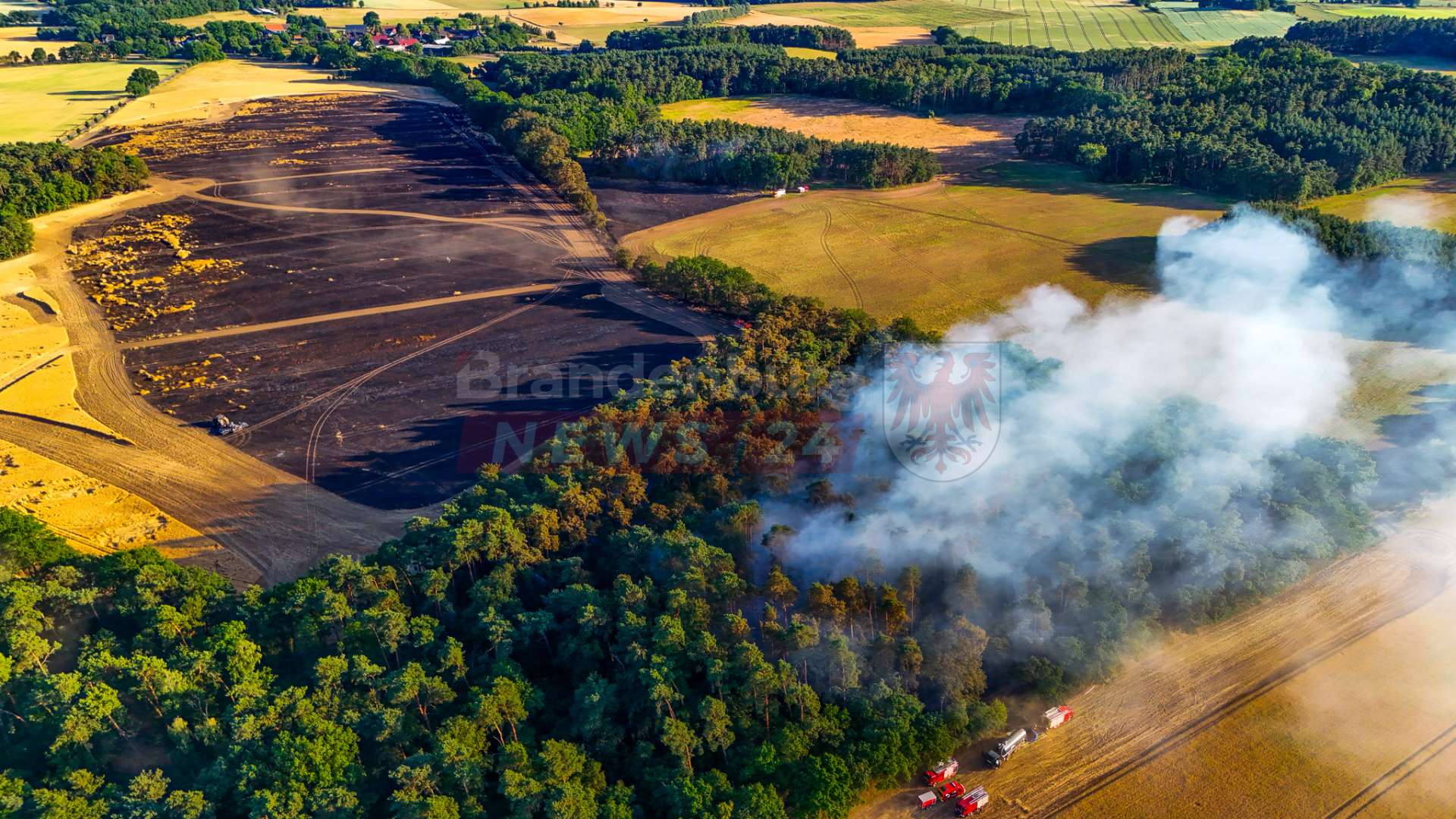 25 Hektar Wald und Flächenbrand in der Prignitz: Feuerwehr kämpft stundenlang gegen Flammen bei Klein Woltersdorf
