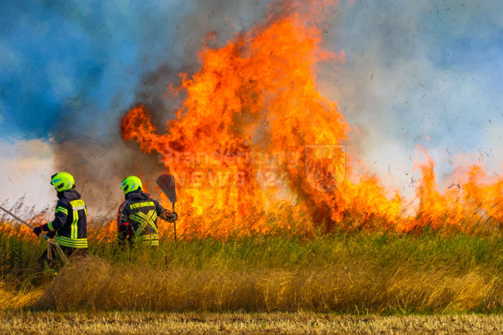 Feldbrand zwischen Oranienburg und Leegebruch – Rund 40 Feuerwehrkräfte verhindern weitere Ausbreitung
