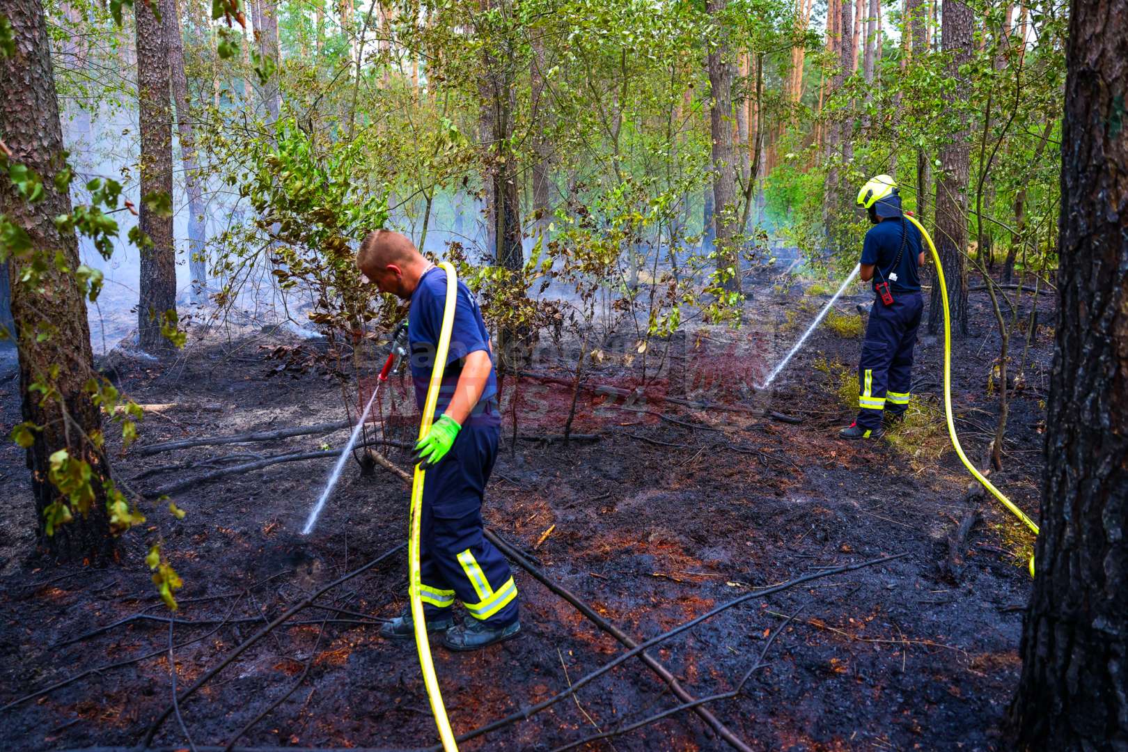 Waldbrand nahe Grabowsee-Lungenheilstätte: Feuerwehr löscht rund einen Hektar Waldfläche