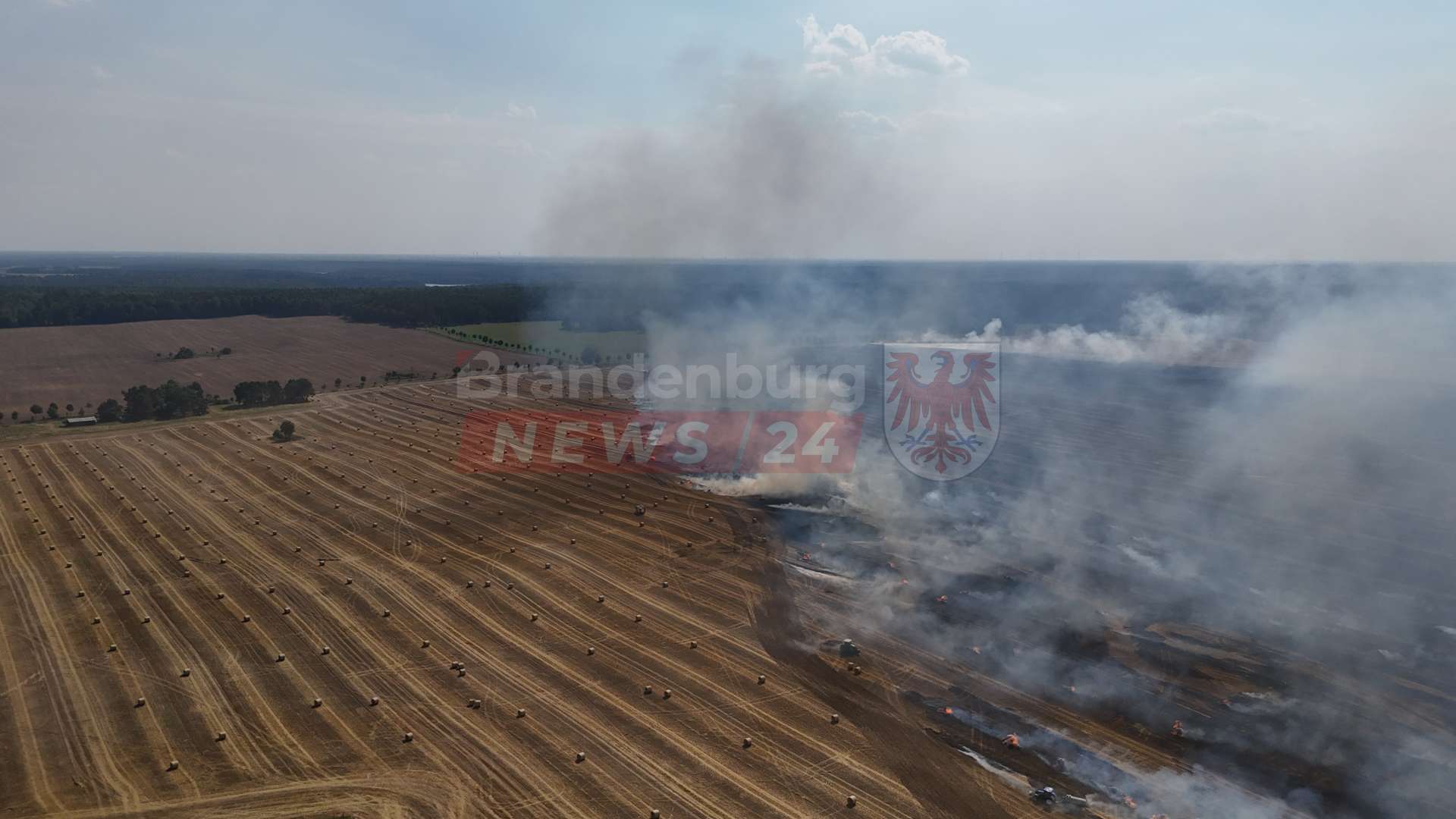 Dramatischer Hitzetag: 90 Hektar in Flammen – Feuerwehr stoppt Großbrand vor den Toren von Braunsberg