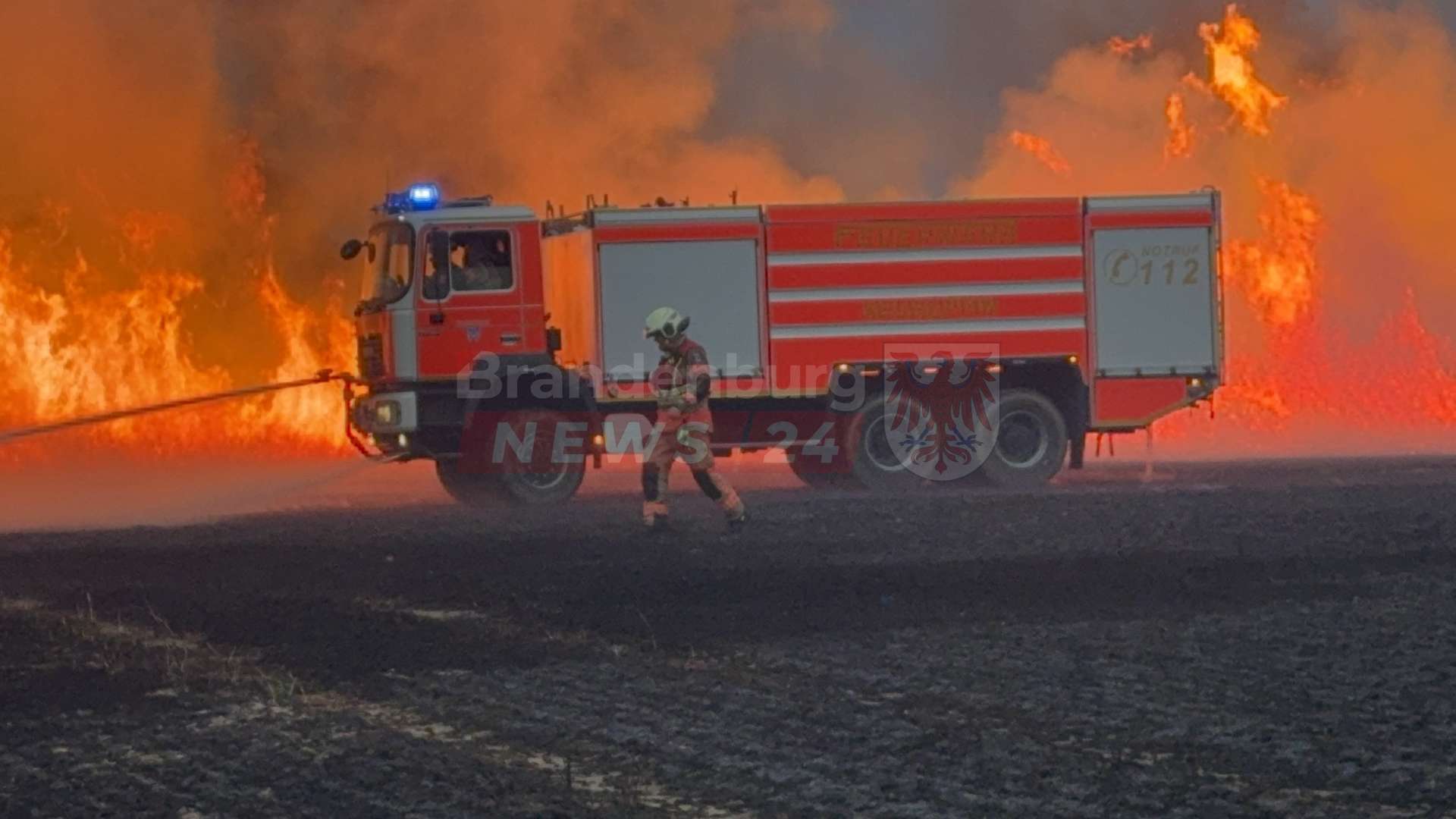 Mehr als 10 m hohe Flammen bei Feldbrand bei Neuruppin-Treskow: Feuerwehr stoppt Flammen kurz vor Wohngebiet
