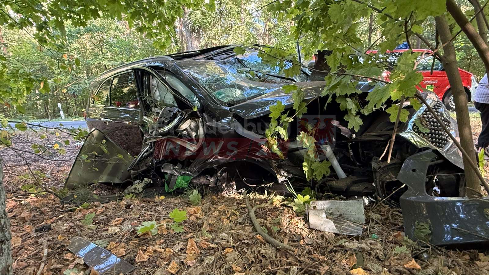 Kia kracht gegen zwei Bäume: 79-Jähriger bei schwerem Unfall auf der L19 verunglückt