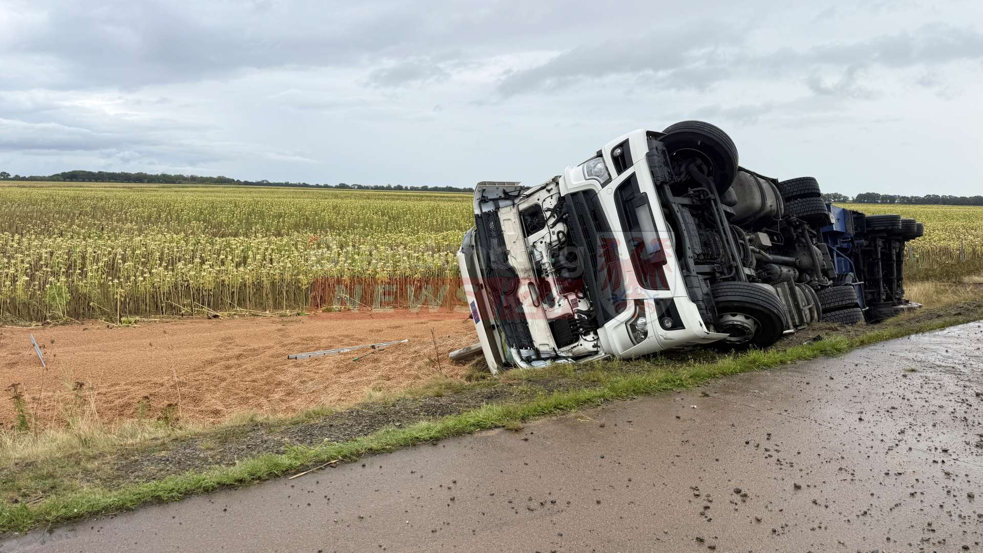 Sekundenschlaf am Steuer: Lkw mit Futterpellets kippt auf A24 bei Neuruppin in Graben – Vollsperrung und Bergung am Abend